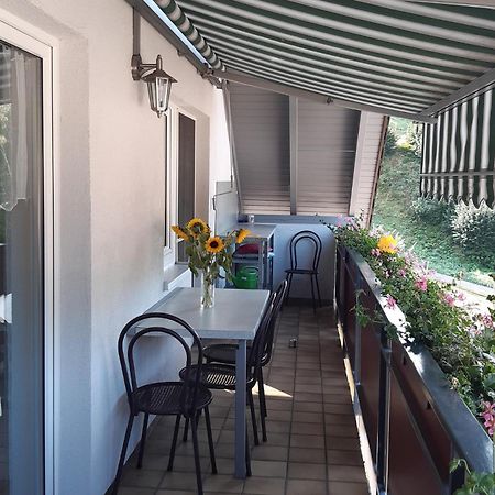 Ferienwohnung Am Geissberg Kleines Wiesental Εξωτερικό φωτογραφία