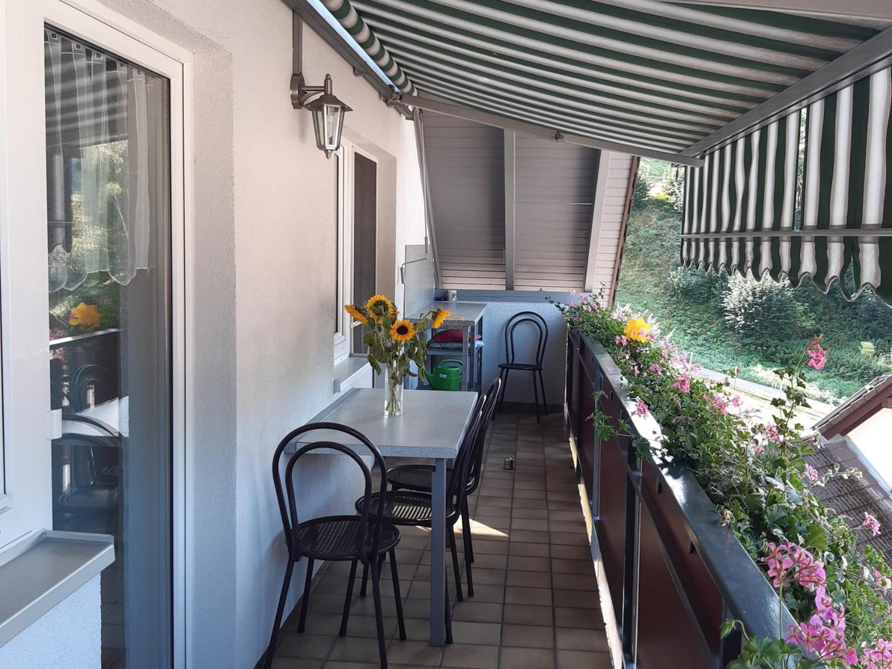 Ferienwohnung Am Geissberg Kleines Wiesental Εξωτερικό φωτογραφία